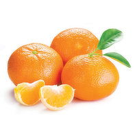 Honey/Murcott - Tangerines