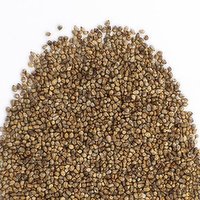 N/A - Bajra, 1 Pound