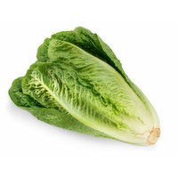 Lettuce - Romaine Organic, 1 Each