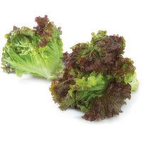 Lettuce - Organic, Red Leaf, 1 Each