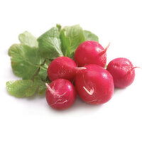 Radishes - Bunch Organic