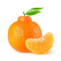 Organic - California Minneola Tangelos, 1 Kilogram