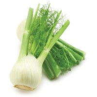 Anise - Fennel Organic