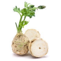 Celery Root - Organic, Fresh, 1 Each