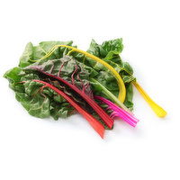 Chard - Rainbow Bunch Organic