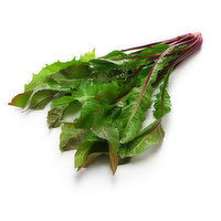 Red - Dandilion Greens - Organic, 1 Each