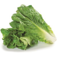 Lettuce - Organic, Romaine