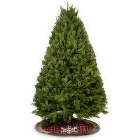 Douglas Fir - Christmas Tree 5/6, 1 Each