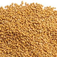 Loose Spice - Mustard Seeds Whole, Bulk, 100 Gram