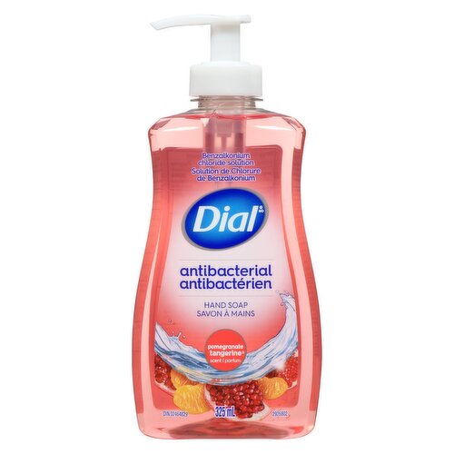 Dial - Antibacterial Hand Soap P&T