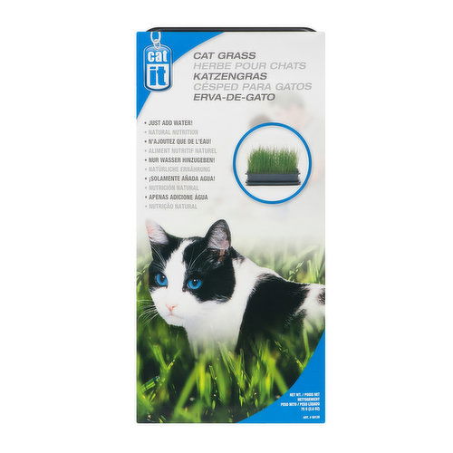 Cat it - Cat Grass