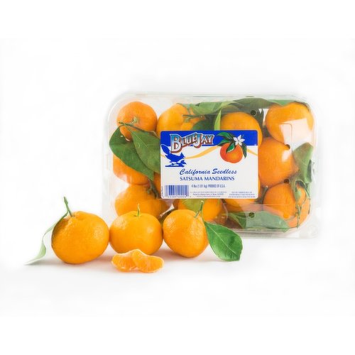 Blue Jay - Satsuma Mandarins