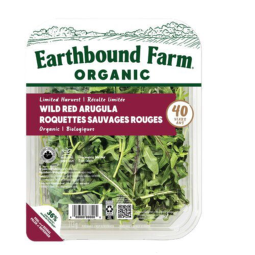 Earthbound Farm - Erthbd Wild Red Arugula