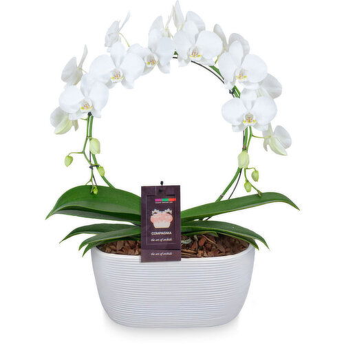 Orchid - Infinity Circle Heart 8 Inch