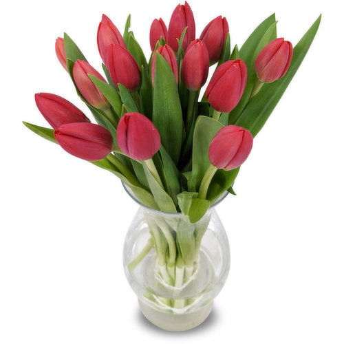 Tulips - Bunch, Fresh