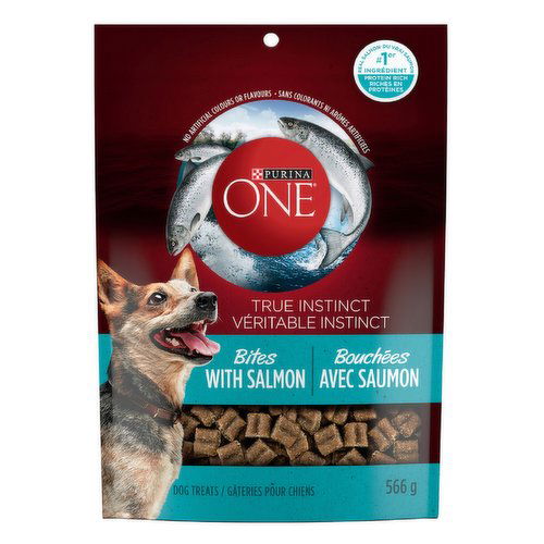 Purina one true instinct dog food best sale