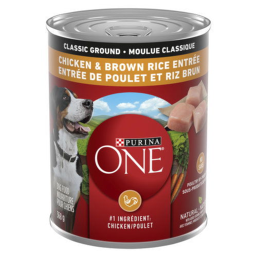 Purina ONE - Wet Dog Food, Classic Ground Chicken & Brown Rice Entre