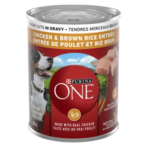 Purina - One Tender Cuts in Gravy Chicken & Brown Rice Entree,  Wet Dog Food