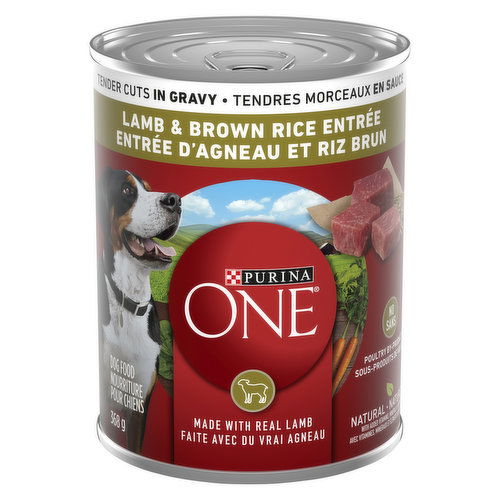 Purina - One Tender Cuts in Gravy Lamb & Brown Rice Entree, Wet Dog Food