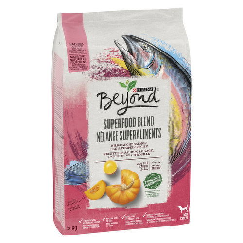 Purina - Super Food Blend Dry Dog Salm