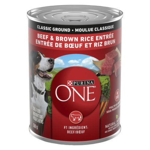 Purina ONE Classic Ground Beef Brown Rice Entr Wet Dog Food 368 g Save On Foods