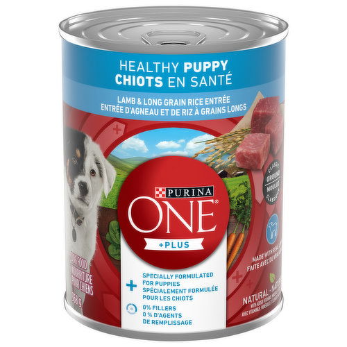 Purina - Healthy Puppy Lamb & Rice