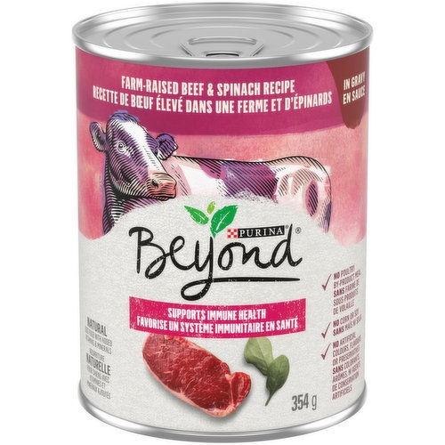 Purina - Beyond Farm Raised Beef & Spinach in Gravy, Wet Dog Food