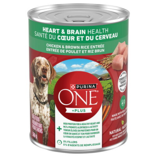 PURINA - ONE+Plus Tender Cuts In Gravy Heart & Brain Health Chicken & Brown Rice Entre Dog Food
