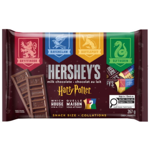 Hershey's - Harry Potter Snack Size
