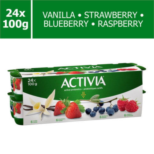 Activia - Probiotic Yogurt Multipack Fruit 2.9% M.F.