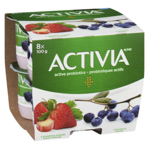 Activia - Probiotic Yogurt 2.9% M.F - Assorted Fruit