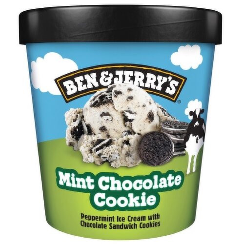 Ben and Jerry - Mint Choco Cookie Ice-cream