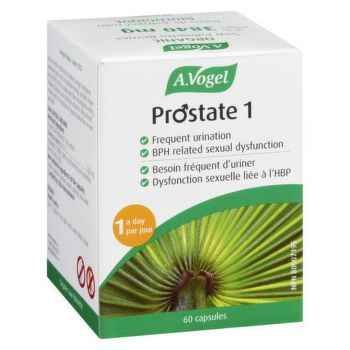 A.Vogel - Prostate 1