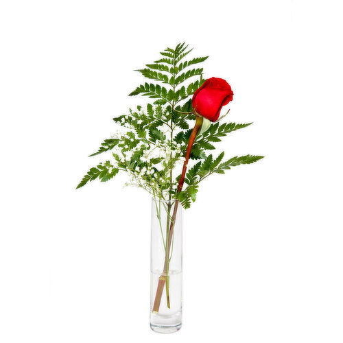 Single Rose - Bouquet Baby's Breath & Greens 50cm