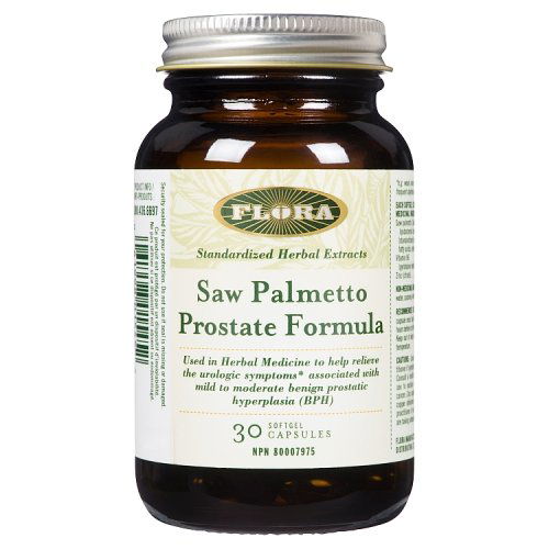 Flora - Floral Saw Palmetto