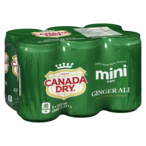 Canada Dry - Ginger Ale Soda