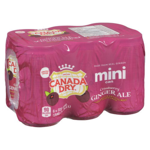Canada Dry - Cranberry Ginger Ale - Mini
