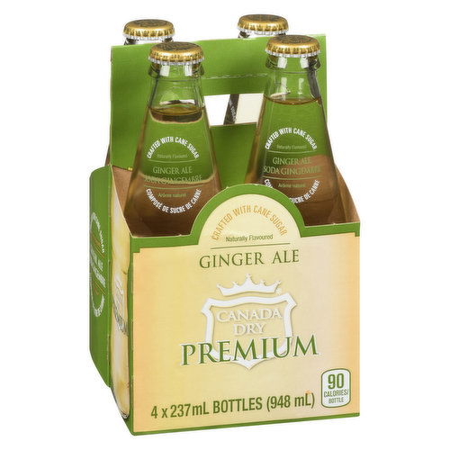 Canada Dry - Canada Dry Craft Premium Ginger Ale