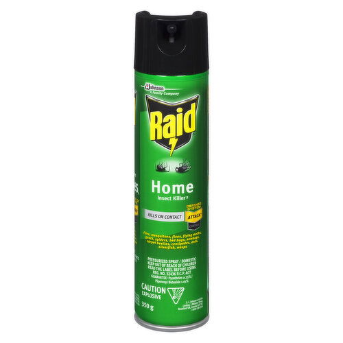 Raid - Home Insect Killer Spray