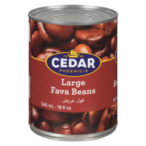 Cedar - Large Fava Beans