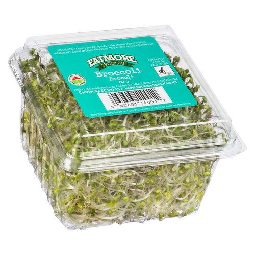 Eatmore Sprouts - Organic Broccoli Sprouts