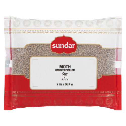 Sundar - Moth