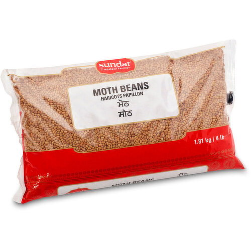 Sundar - Moth