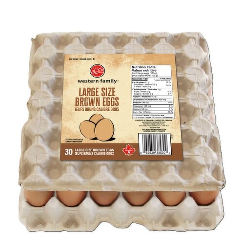 Western Family - Large Size Brown Eggs