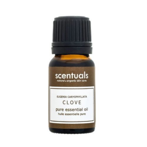 Scentuals - Clove Pure Essential Oil