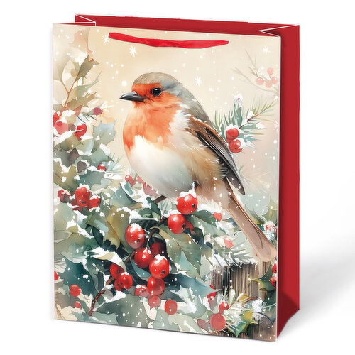 Paper Trendz - Xmas Deluxe Gift Bag Md Cardin