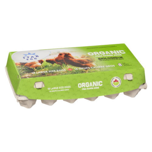 STAR EGG - Organic Free Range Large Brown