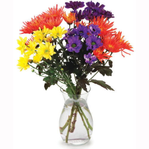 Spray Mums - Spray Mums Per Bunch