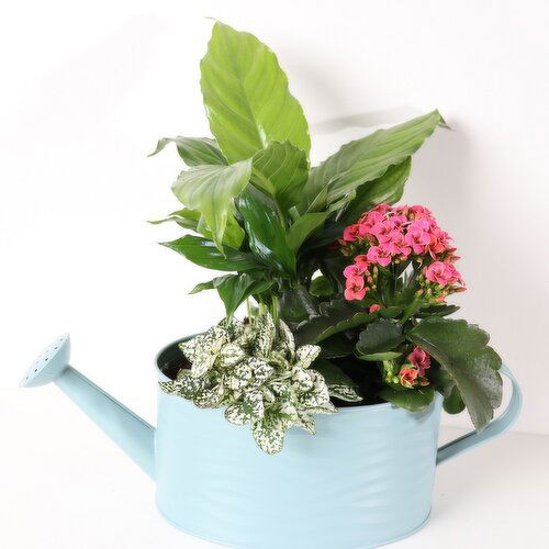 Watering Can - Assorted Flowers Planter with Jute Bow