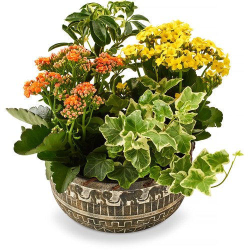 Safari Elephant - Planter, 8in